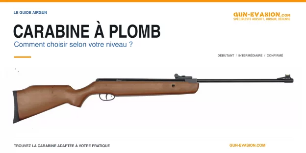 carabine à plomb